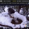 Berry College’s eagles get a few seconds of national attention on NBC News